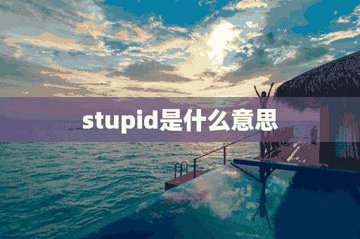 stupid是什么意思